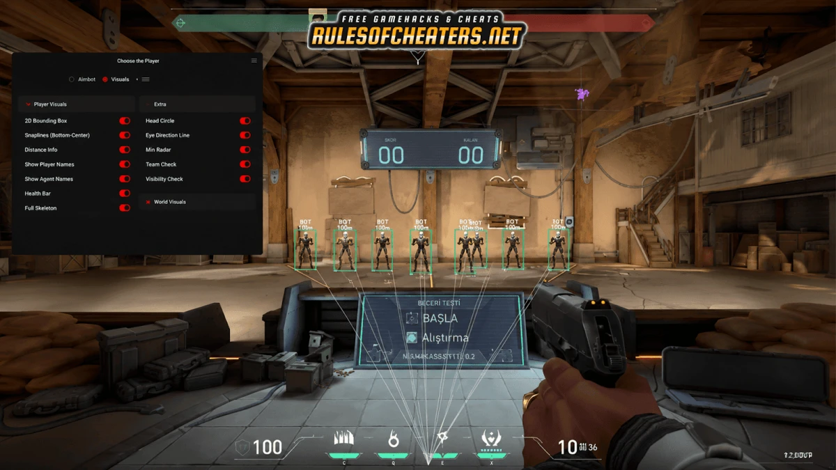 Valorant NewEra External Cheat – Aimbot, Skeleton ESP, Radar