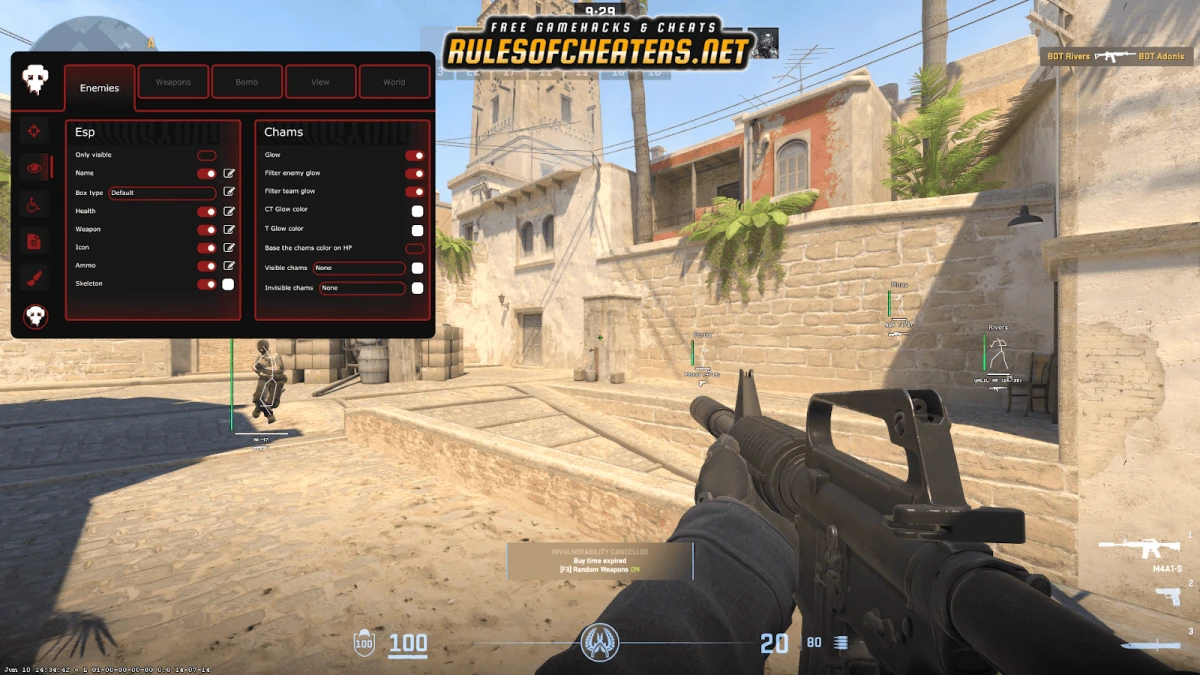 Counter Strike 2 Enigma Cheat – ESP, Chams, Skeleton ESP