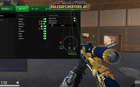 Point Blank Azerbaijan Vexed Cheat – ESP, Legitbot, Visuals