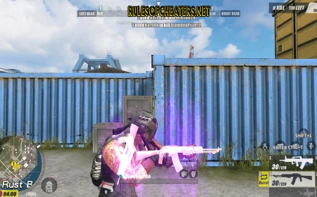 Rules of Survival Mod - Weapon Aura Wallhack
