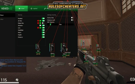 Point Blank Indonesia Vexed Cheat – ESP, Legitbot, Visuals