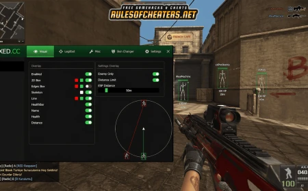 Point Blank Türkiye Vexed Cheat – ESP, Legitbot, Skin Changer